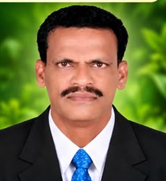 Property consultant